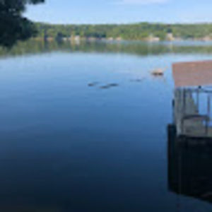 Meet your Posher, Allie